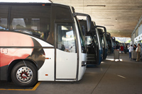 Coaches in a bus station
