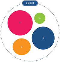 screenshot of infographic representing how tuition fees are spent