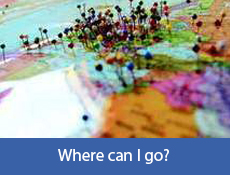 Map with pins in