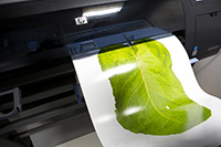Printer printing an image of a leaf