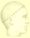 Illustration showing how to measure your head for the graduation dress