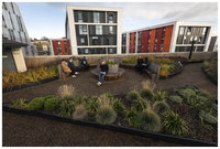 Photo of roof garden on Boots Library